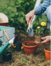 Global Garden and Lawn Tools Market by End-user, Product, and Geography - Forecast and Analysis 2023-2027