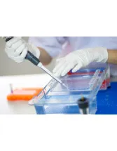 Gel Electrophoresis Market by Product, End-user, and Geography - Forecast and Analysis 2020-2024