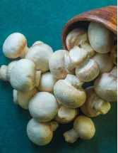Mushroom Market Analysis - Europe, APAC, North America, South America, Middle East and Africa - US, Canada, China, Japan, The Netherlands - Size and Forecast 2023-2027
