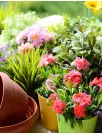Vietnam Floriculture Market by Product, Application and Type - Forecast and Analysis 2024-2028