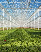 Commercial Greenhouse Market Analysis North America,Europe,APAC,South America,Middle East and Africa - US,China,The Netherlands,Germany,Spain - Size and Forecast 2023-2027