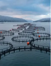 China - Aquaculture Market by Type, and Production Area - Forecast and Analysis 2023-2027