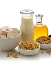 Soy and Milk Protein Ingredients Market Analysis North America, Europe, APAC, South America, Middle East and Africa - US, China, Germany, UK, France - Size and Forecast 2023-2027