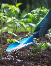 Thailand Fertilizers Market by Application, Type and Product - Forecast and Analysis 2024-2028