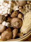 Functional Mushroom Market Analysis North America, Europe, APAC, South America, Middle East and Africa - US, Canada, China, UK, Germany - Size and Forecast 2024-2028