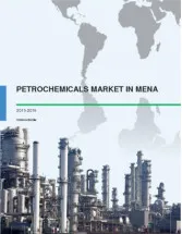 Petrochemicals Market in MENA 2015-2019