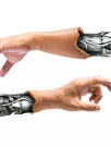 Permanent Artificial Skin Market by End-user and Geography - Forecast and Analysis 2020-2024