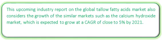 Global Tallow Fatty Acid Market Market segmentation by region