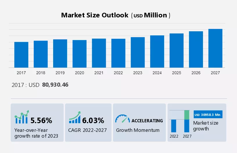 Biodegradable Packaging Materials Market Size