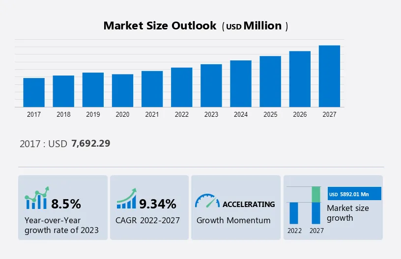 Hair Wigs and Extension Market Size