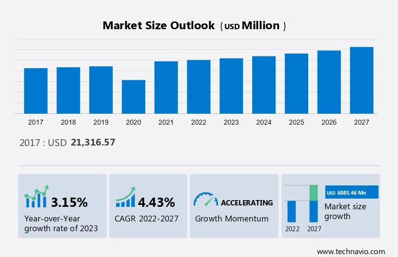 In-the-Water Sports Equipment Market Size