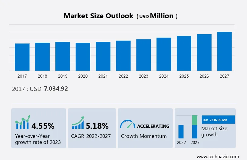 Cat Litter Market Size