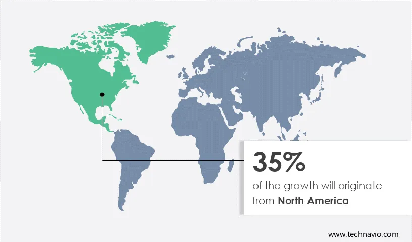 Web Hosting Services Market Share by Geography