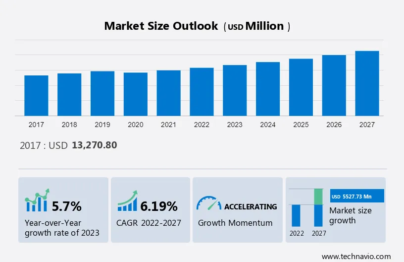 Sports Bicycle Market Size