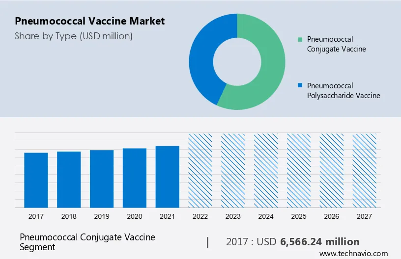 Pneumococcal Vaccine Market Size