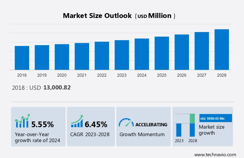 Basketball Apparel Market Size