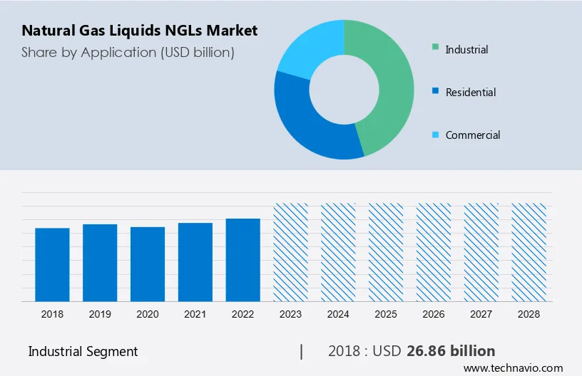 Natural Gas Liquids (NGLs) Market Size