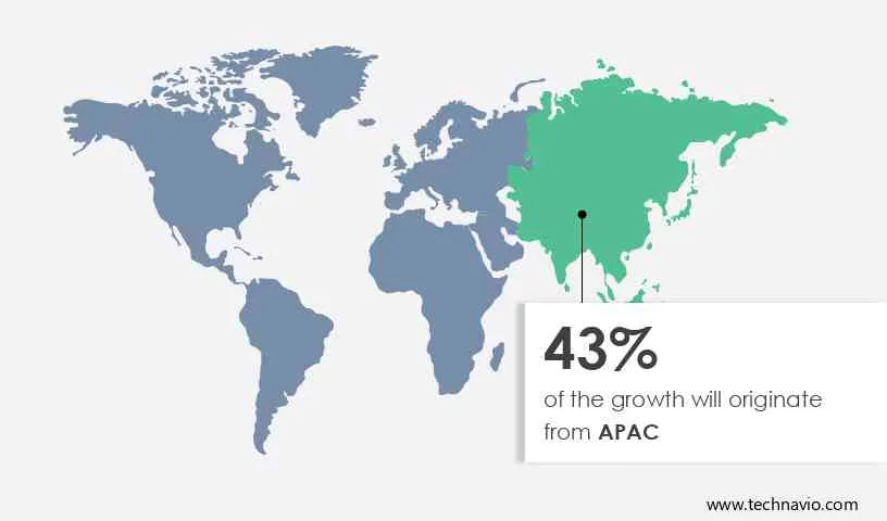 Expanded Polystyrene Market Share by Geography