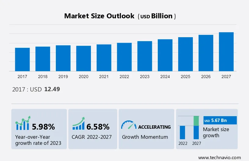 Avocado Market Size