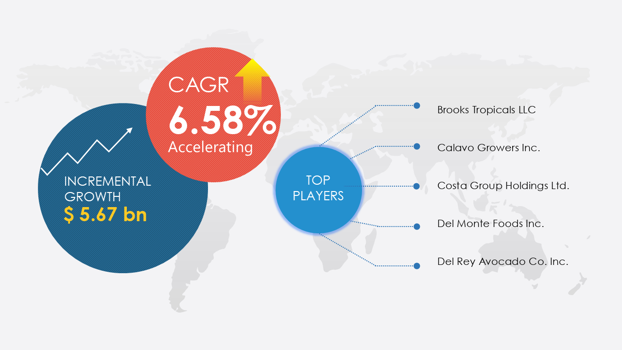avocado market growth, avocado market share, avocado market trend, avocado market forecast