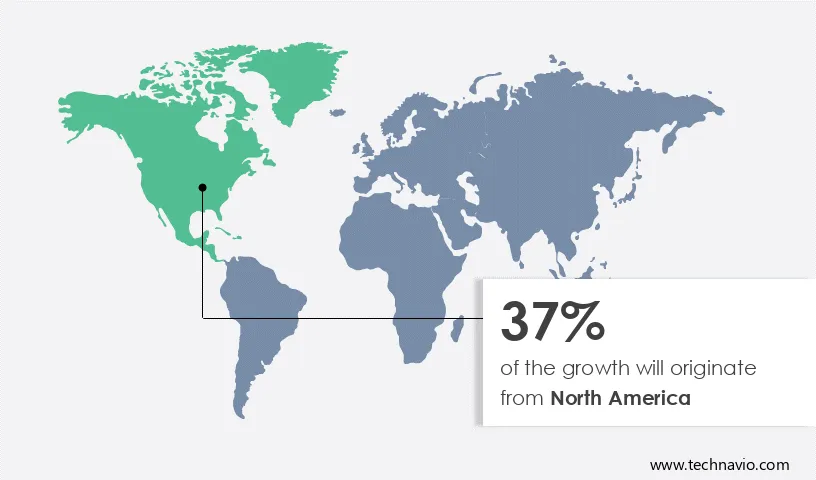 Snow Blower Market Share by Geography