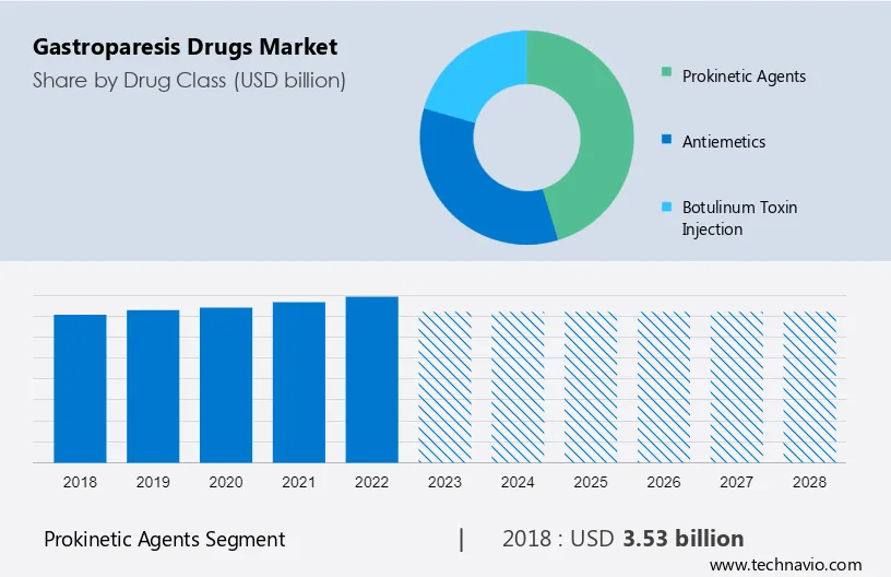Gastroparesis Drugs Market Size
