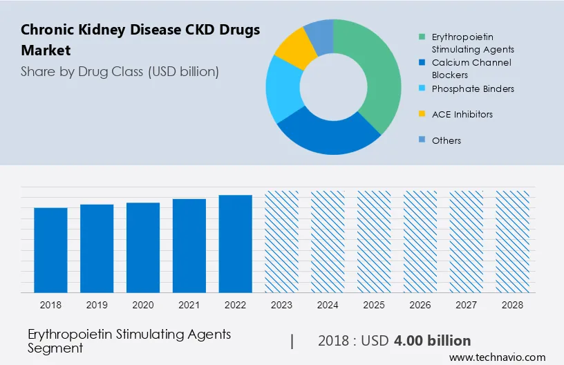 Chronic Kidney Disease (CKD) Drugs Market Size