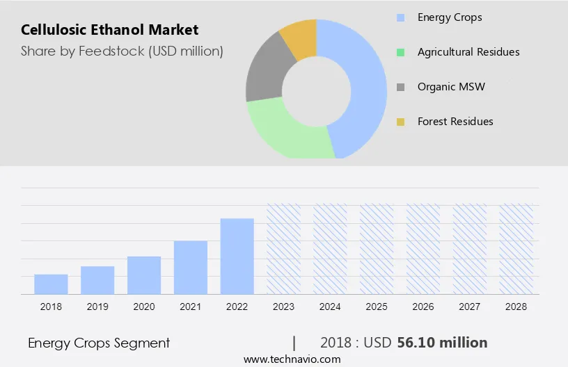 Cellulosic Ethanol Market Size