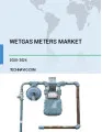Wetgas Meters Market by Application and Geography - Forecast and Analysis 2020-2024