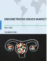 Endometriosis Drugs Market by Product and Geography - Forecast and Analysis 2021-2025
