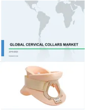 Cervical Collars Market by Product and Geography - Global Forecast and Analysis 2019-2023