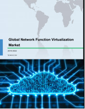 Global Network Function Virtualization Market 2018-2022