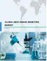 Global BRAF Kinase Inhibitors Market 2019-2023
