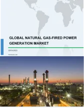 Natural Gas-Fired Power Generation Market by Type and Geography - Global Forecast and Analysis 2019-2023