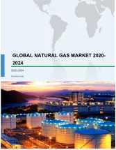 Natural Gas Market by Resource Type and Geography - Forecast and Analysis 2020-2024