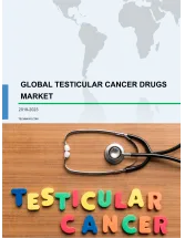 Global Testicular Cancer Drugs Market 2019-2023