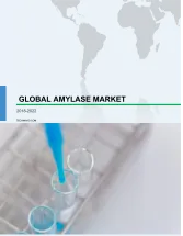 Global Amylase Market 2018-2022