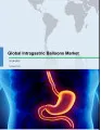 Global Intragastric Balloons Market 2018-2022
