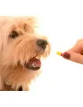 Global Pet Dietary Supplements Market 2018-2022
