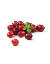 Fresh Cranberries Market by Type and Geography - Forecast and Analysis 2021-2025