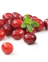 Fresh Cranberries Market by Distribution Channel, Type and Geography - Forecast and Analysis 2023-2027