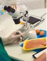 Food Safety Testing Market by Type, Technology, and Geography - Forecast and Analysis 2023-2027