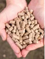 Animal Feed Market by Type, Product, and Geography - Forecast and Analysis 2023-2027