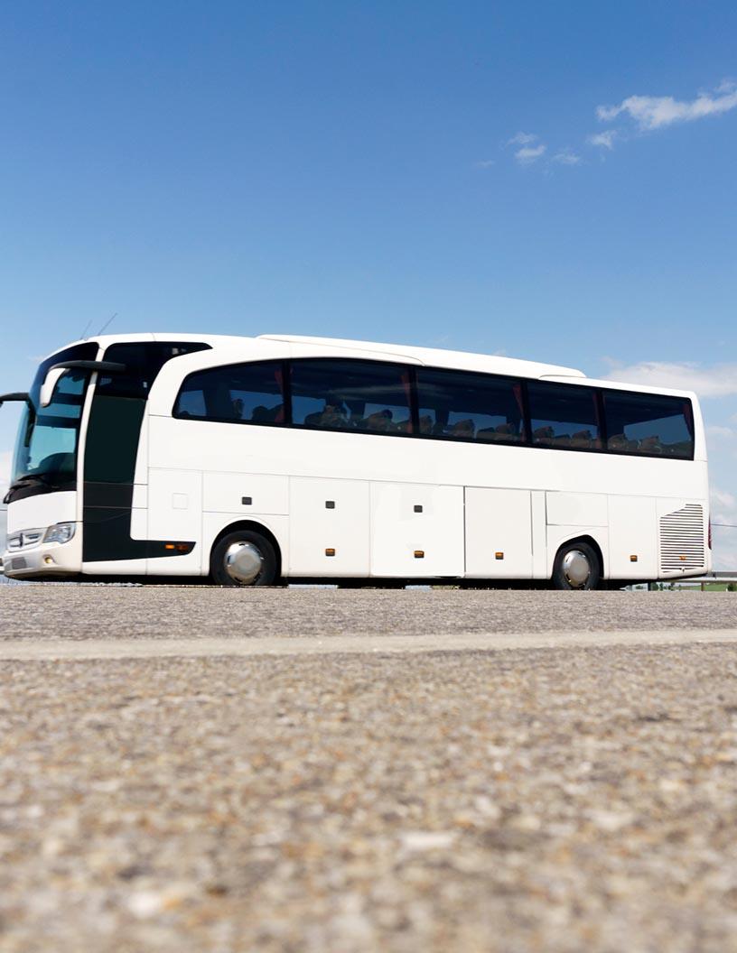 Autonomous Bus Market Analysis, Size, and Forecast 2025-2029: North America (US and Canada), APAC (China, India, Japan, South Korea), Europe (France, Germany, Italy, UK), Middle East and Africa , and South America