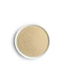 Feed Yeast Market by Product and Geography - Forecast and Analysis 2021-2025