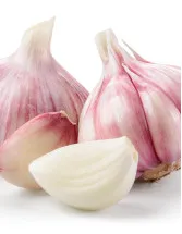 Garlic Market Analysis APAC, North America, Europe, Middle East and Africa, South America - US, China, India, South Korea, Bangladesh - Size and Forecast 2024-2028