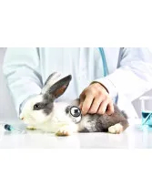 Veterinary Rapid Tests Market by Animal Type and Geography - Forecast and Analysis 2020-2024