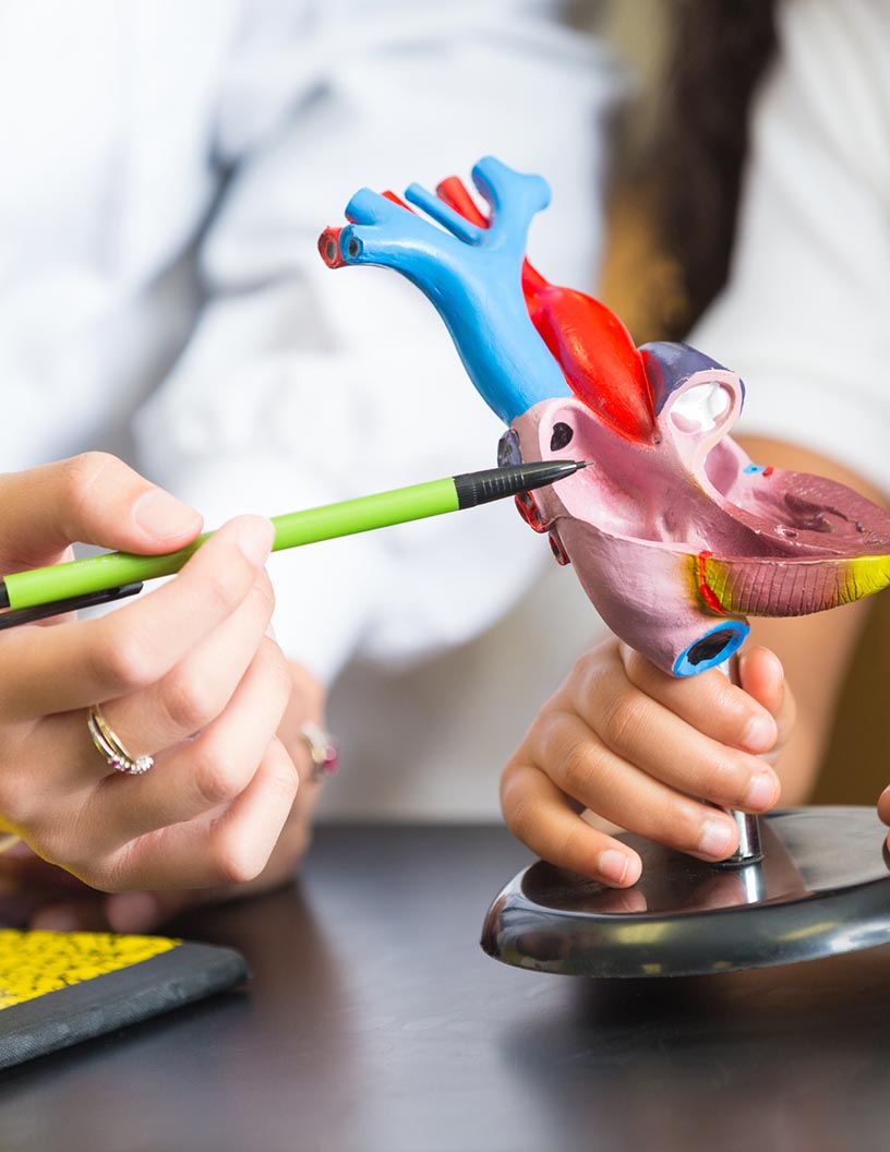 Ventricular Assist Devices Market by Product and Geography - Forecast and Analysis 2021-2025