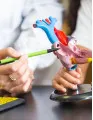 Ventricular Assist Devices Market by Product and Geography - Forecast and Analysis 2021-2025