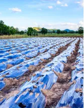 Agricultural Films Market Analysis - APAC, North America, Europe, South America, Middle East and Africa - US, China, India, Germany, Brazil - Size and Forecast 2023-2027